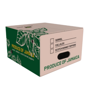 EZ PAC Fresh Produce Carton