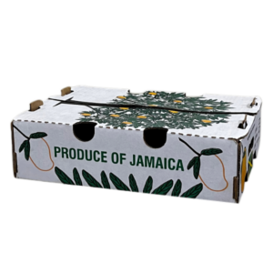 EZ PAC Mango Box